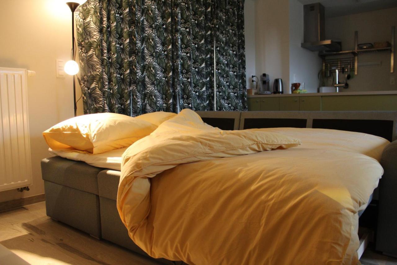 De Panne - Adinkerke - 'T Voetbrugsje Comfortabele Nieuwbouw エクステリア 写真